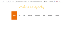 Tablet Screenshot of molinoproperty.com